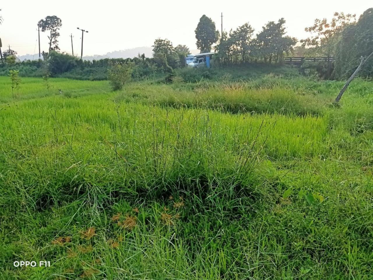 Samz Estate Stay 2Bhk Madikeri Exterior foto