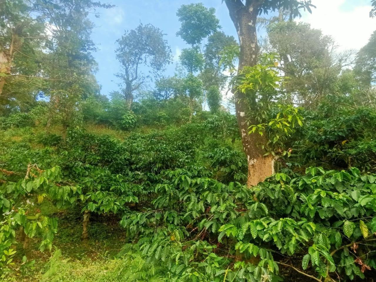 Samz Estate Stay 2Bhk Madikeri Exterior foto